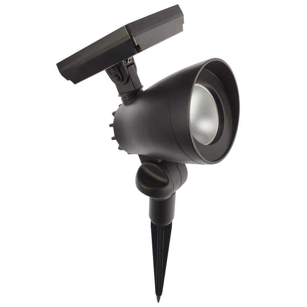 55 Lumens Black LED Outdoor Solar Spotlight with Adjustable Head