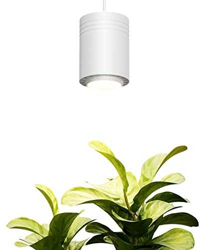 Aspect World's First Decor Grow Light Small White Luxury LED Grow Light - for Small and Medium Sized Plants
