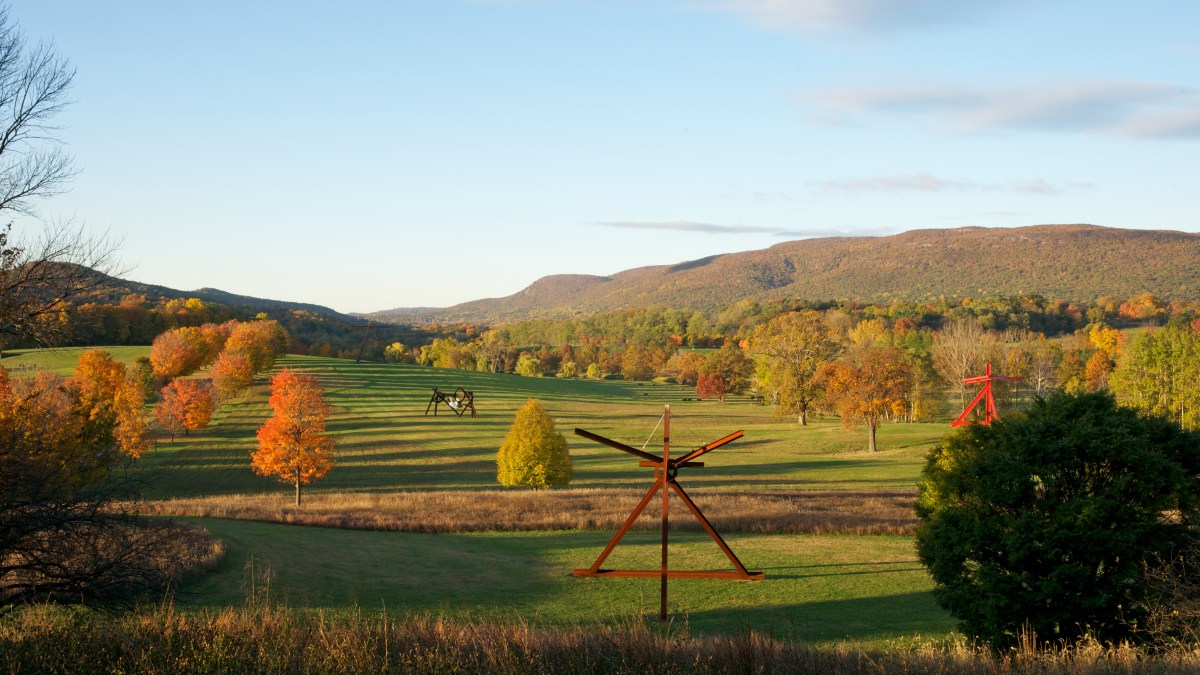 View of the South Fields, all works by Mark di Suvero.  Photograph by Jerry L. Thompson