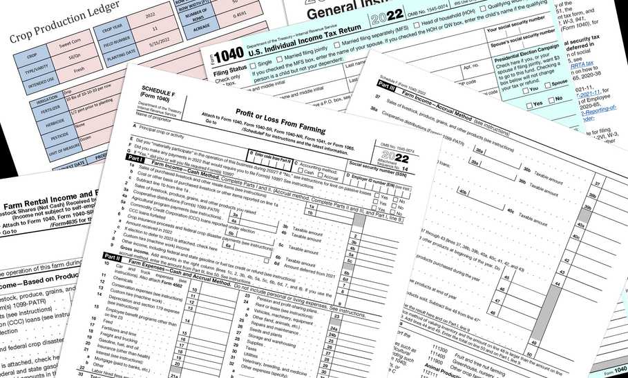 standard vs itemized deductions