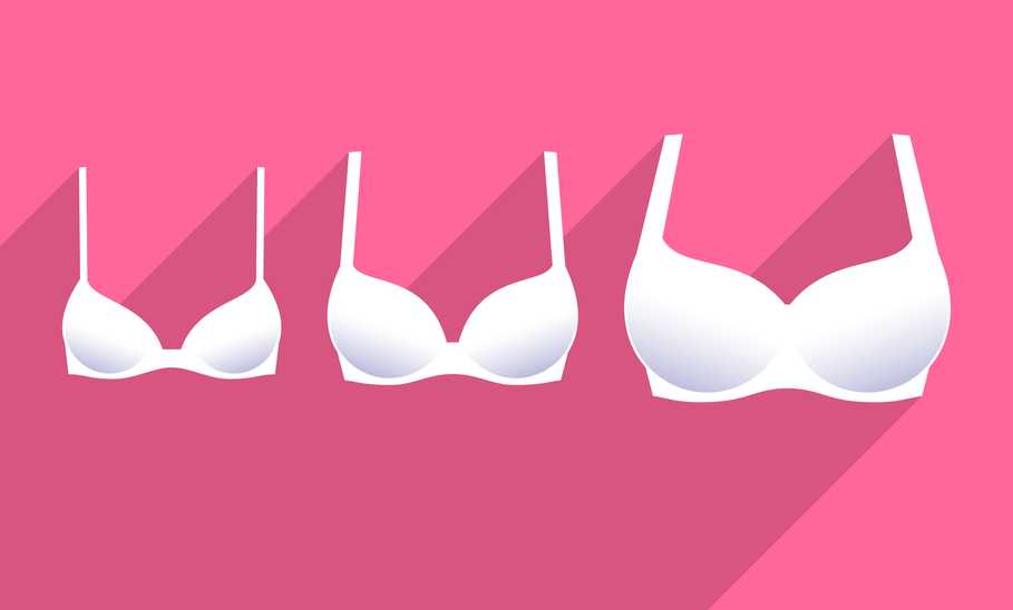 bras for large breast