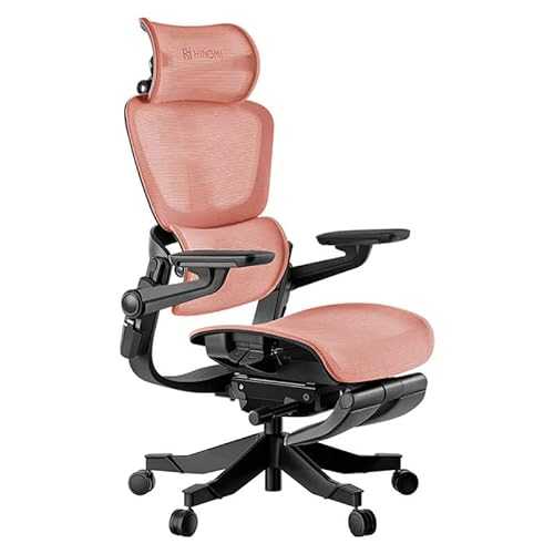 SIHOO Ergonomic Office Chair Mesh Desk Chair with Adjustable Lumbar Support  3D Armrests Breathable High Back Computer Chair