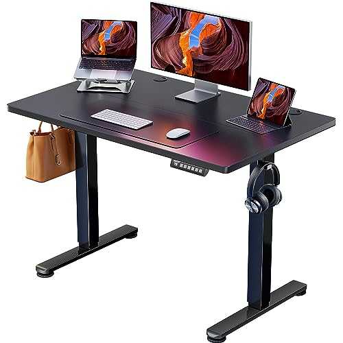 ErGear Height Adjustable Electric Standing Desk, 40 x 24 Inches Sit Stand up Desk, Small Memory Computer Home Office Desk (Black)