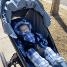 Thule Urban Glide 3 Stroller with a baby