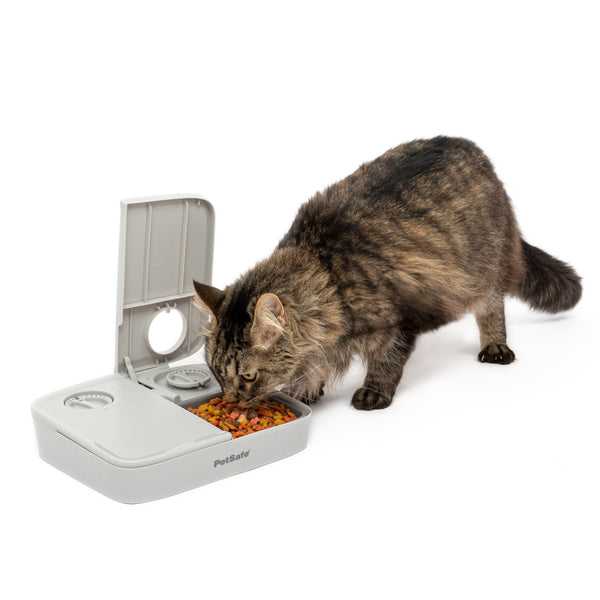 PetSafe Automatic 2 Meal Cat Feeder