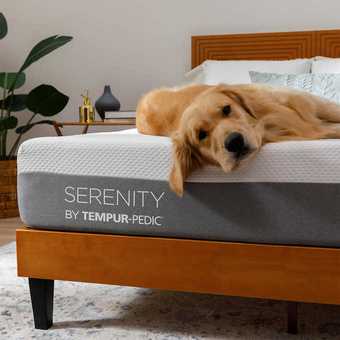 When’s the Best Time To Buy a Mattress? Sooner Than You Think | TIME ...