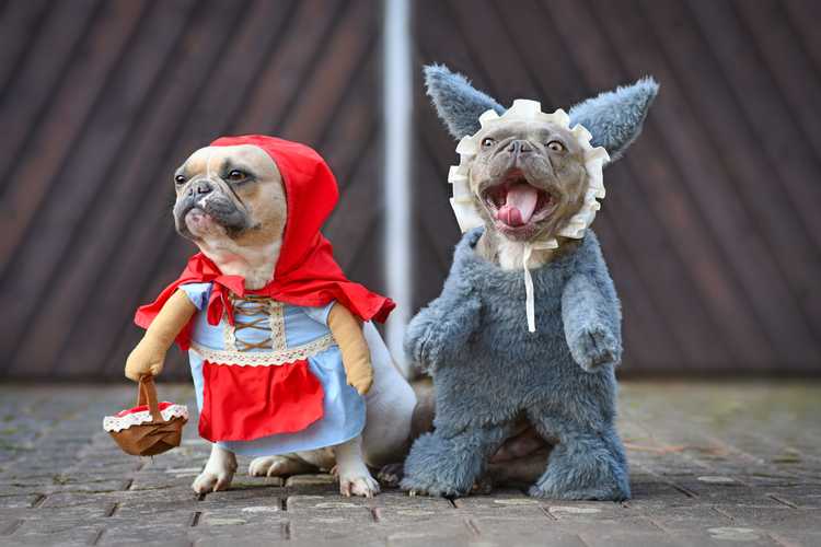 Best Halloween Dog Costumes