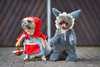 Best Halloween Dog Costumes