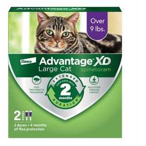 Advantage XD Large Cat Treatment