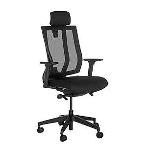 VARI Ergonomic Nylon High-Back Desk Chair