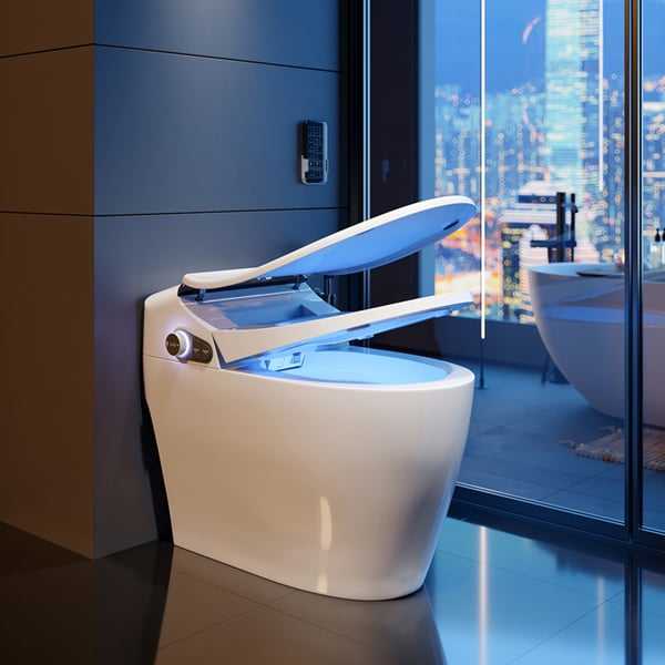 Homary Modern Smart One-Piece Elongated Toilet and Bidet