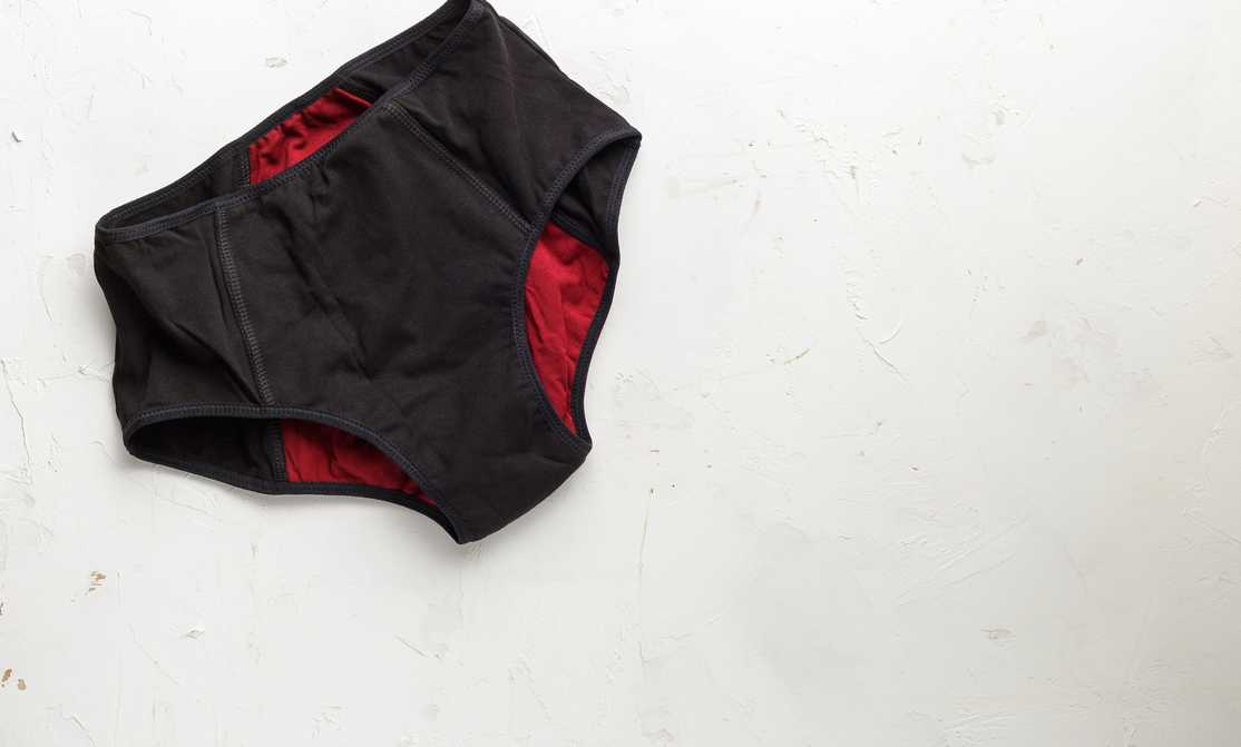 Thinx Period Underwear Review