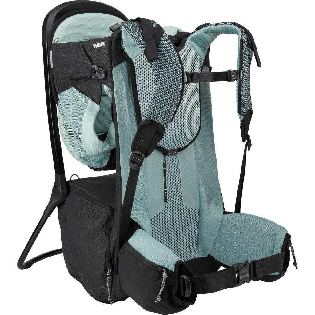 Thule Sapling Child Carrier in Black at Nordstrom