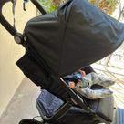 UPPAbaby Ridge Jogging Stroller