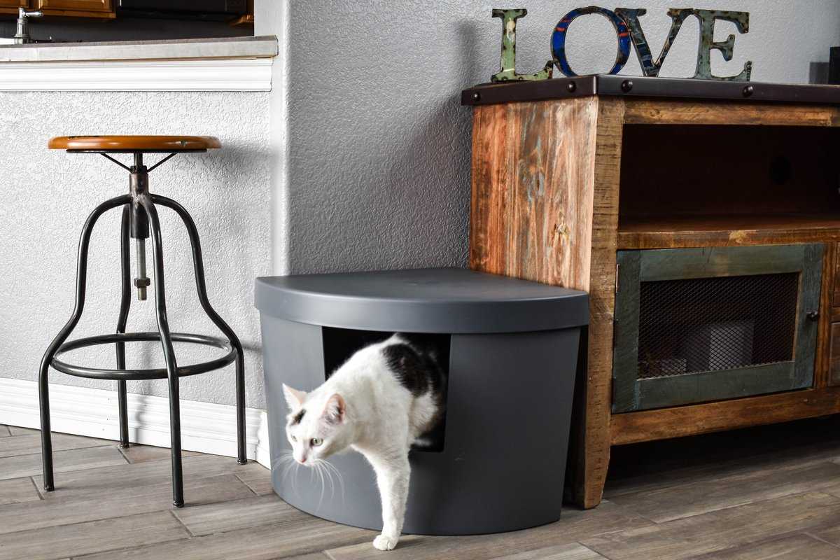 Kitangle Corner Kitty Cat Litter Box