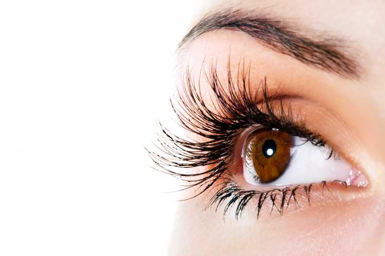 Woman brown eye with extremely long eyelashes