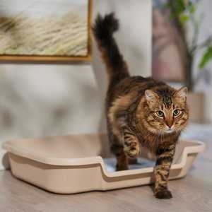 Frisco Senior and Kitten Cat Litter Box