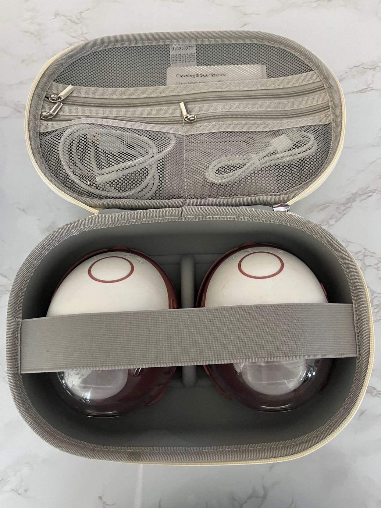 breast pump in carry case