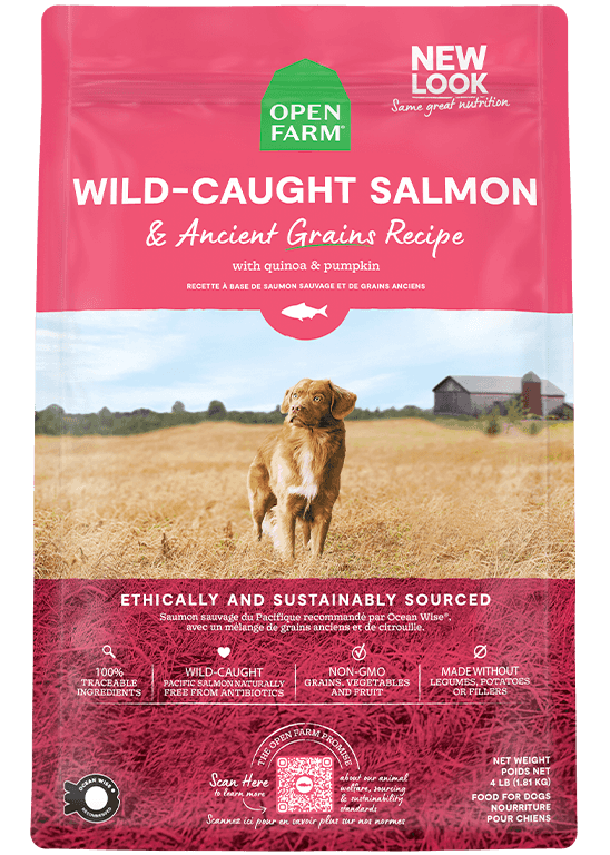 Open Farm Wild-Caught Salmon & Ancient Grains