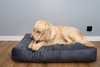 Best Dog Beds for Chewers
