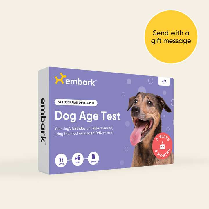 Embark Dog Age Test