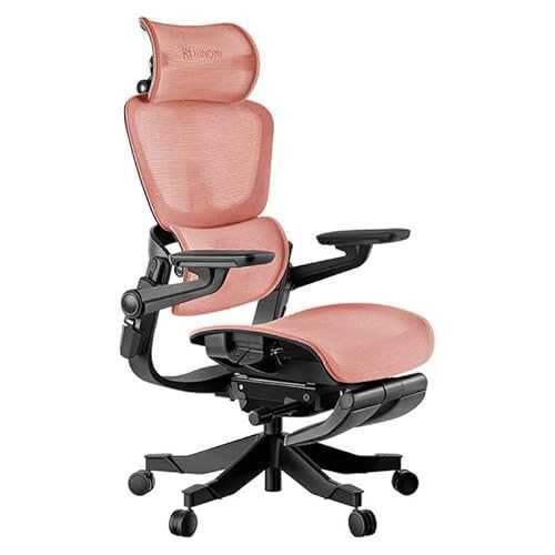 HINOMI H1 Pro 3D Lumbar Support Ergonomic Office/Gaming Chair - 5D Armrests Leg Rest Included Hybrid Mesh Relieve Back Pain, Foldable, Work from Home Office with Adjustable Headrest