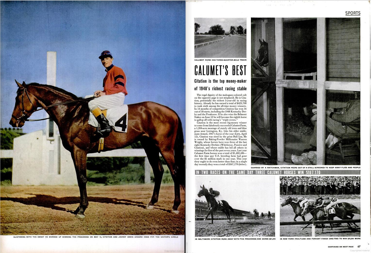 Photos: 1948 Triple Crown Winner Citation From LIFE Magazine Feature ...
