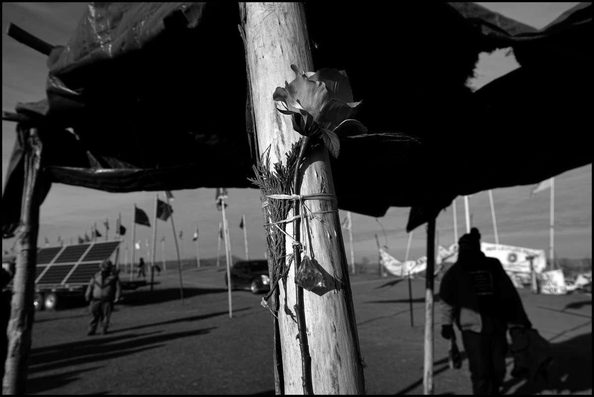 A plastic rose is tied to a post at Oceti Sakowin Camp in Standing Rock, North Dakota, on Nov. 19, 2016.