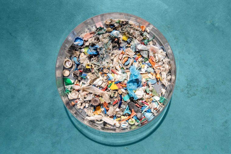 Ocean pollutionâincluding vast amounts of plastic waste that cannot break downâ is particularly hazardous for marine wildlife